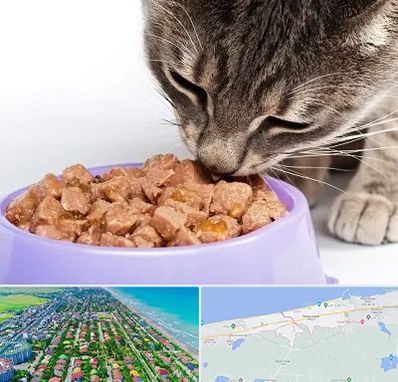 فروشگاه غذای گربه در فریدونکنار