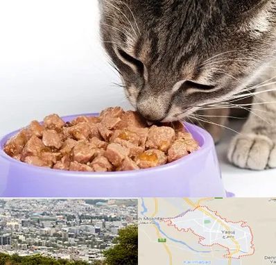 فروشگاه غذای گربه در یاسوج