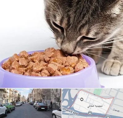 فروشگاه غذای گربه در مجیدیه شمالی