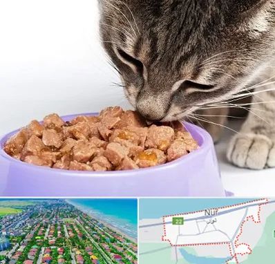 فروشگاه غذای گربه در نور