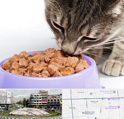 فروشگاه غذای گربه در مرکز تهران