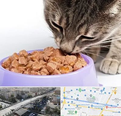 فروشگاه غذای گربه در فرجام