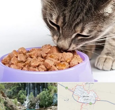 فروشگاه غذای گربه در شیروان