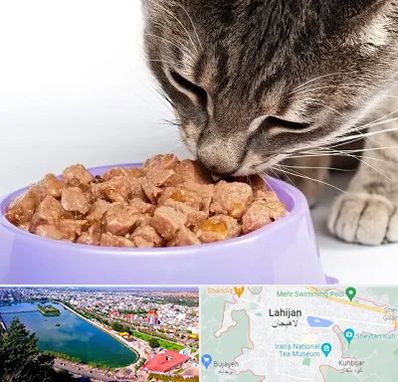 فروشگاه غذای گربه در لاهیجان