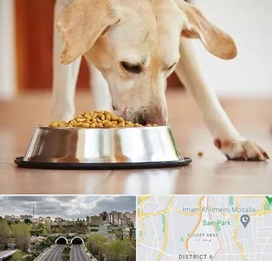 فروشگاه غذای سگ در یوسف آباد 