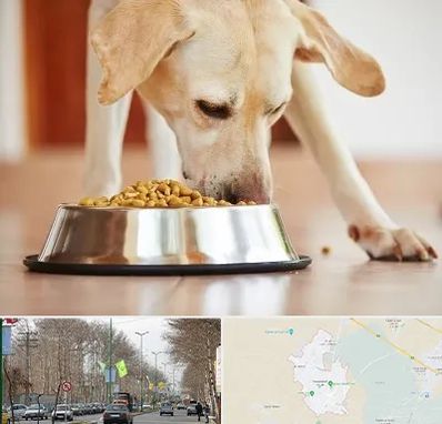 فروشگاه غذای سگ در نظرآباد کرج