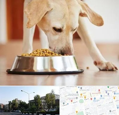 فروشگاه غذای سگ در میدان کاج