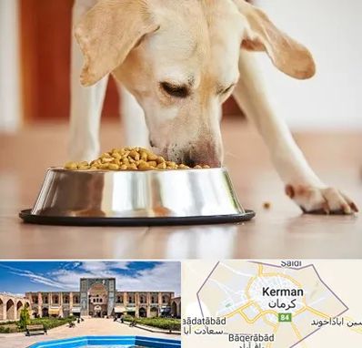 فروشگاه غذای سگ در کرمان