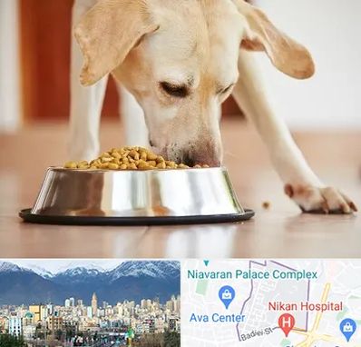 فروشگاه غذای سگ در آجودانیه