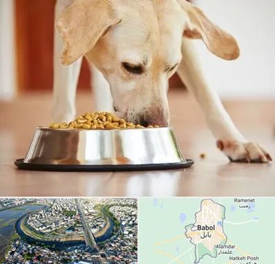 فروشگاه غذای سگ در بابل