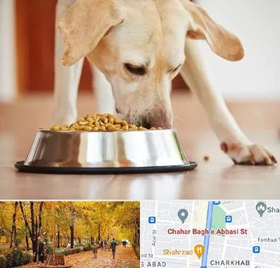 فروشگاه غذای سگ در چهارباغ اصفهان