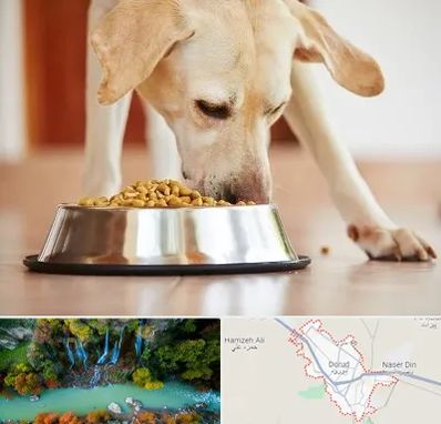 فروشگاه غذای سگ در دورود