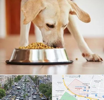 فروشگاه غذای سگ در گلشهر کرج