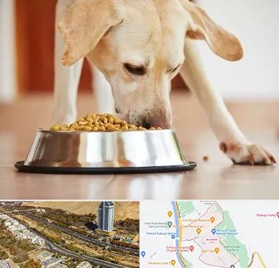 فروشگاه غذای سگ در خیابان نیایش شیراز