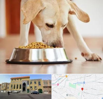 فروشگاه غذای سگ در زنبیل آباد قم