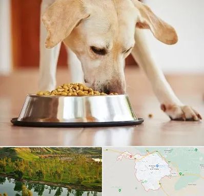 فروشگاه غذای سگ در بهبهان