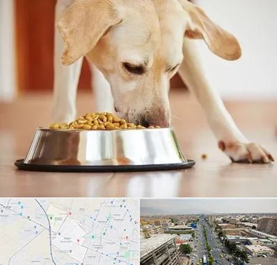 فروشگاه غذای سگ در حصارک کرج