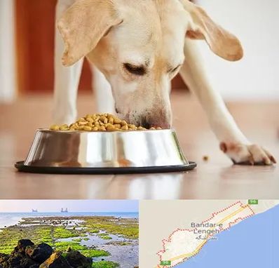 فروشگاه غذای سگ در بندرلنگه