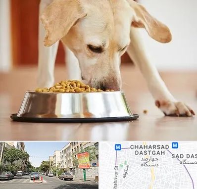 فروشگاه غذای سگ در چهارصد دستگاه