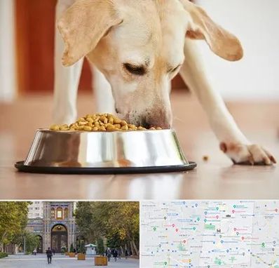 فروشگاه غذای سگ در منطقه 12 تهران