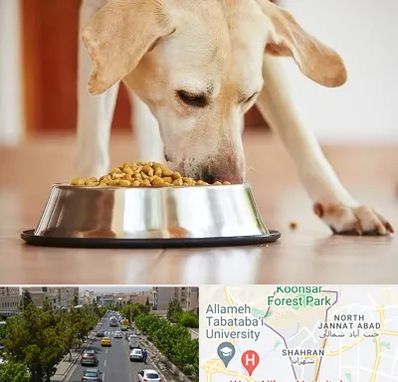 فروشگاه غذای سگ در شهران 