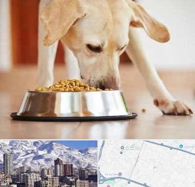 فروشگاه غذای سگ در ازگل