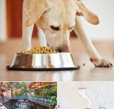 فروشگاه غذای سگ در درکه