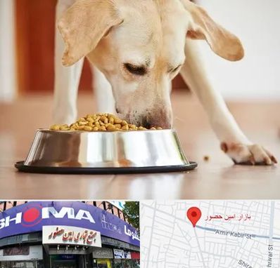 فروشگاه غذای سگ در امین حضور