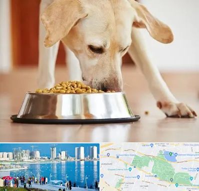 فروشگاه غذای سگ در چیتگر 