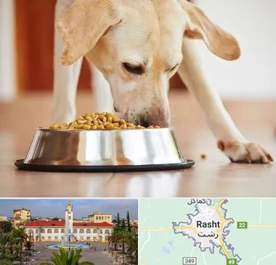 فروشگاه غذای سگ در رشت