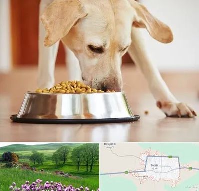 فروشگاه غذای سگ در سراب