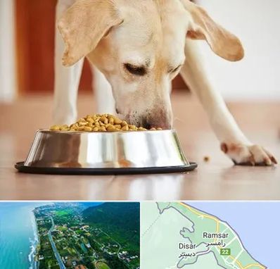 فروشگاه غذای سگ در رامسر