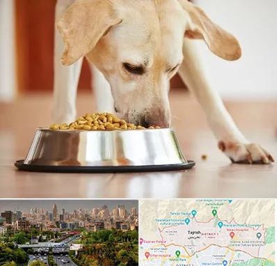 فروشگاه غذای سگ در منطقه 1 تهران