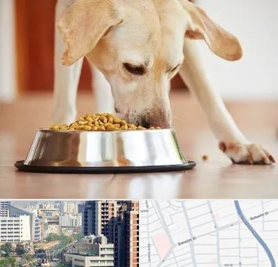 فروشگاه غذای سگ در خیابان بهشتی