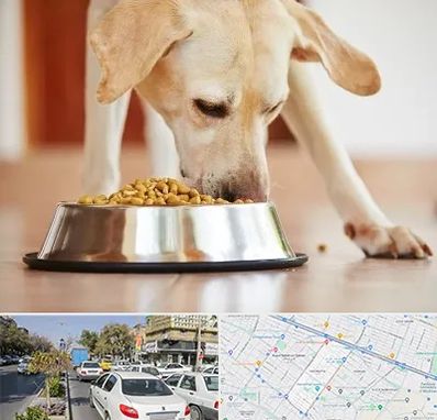 فروشگاه غذای سگ در مفتح مشهد