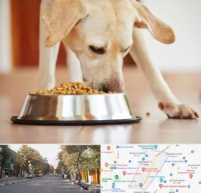 فروشگاه غذای سگ در شریعتی