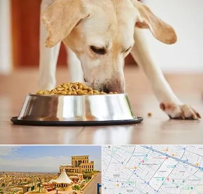 فروشگاه غذای سگ در هاشمیه مشهد