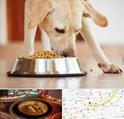 فروشگاه غذای سگ در میدان ولیعصر