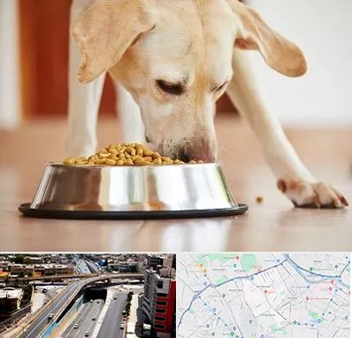 فروشگاه غذای سگ در ستارخان شیراز