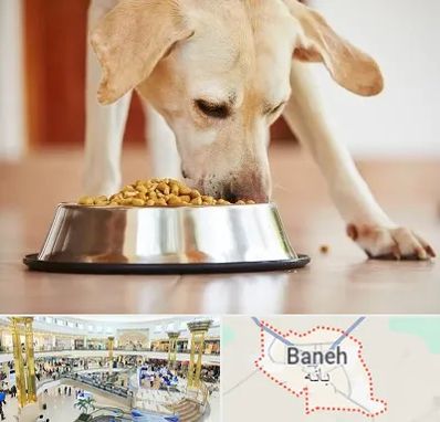 فروشگاه غذای سگ در بانه