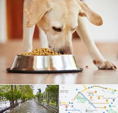 فروشگاه غذای سگ در خیابان ارم شیراز