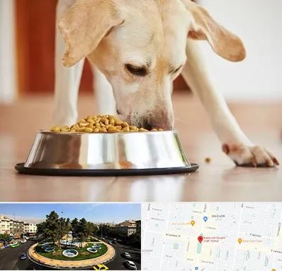 فروشگاه غذای سگ در هفت حوض