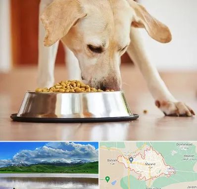 فروشگاه غذای سگ در مرند