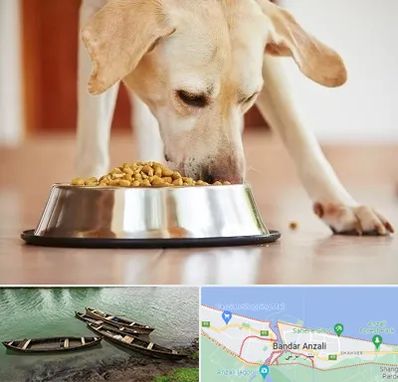 فروشگاه غذای سگ در بندر انزلی
