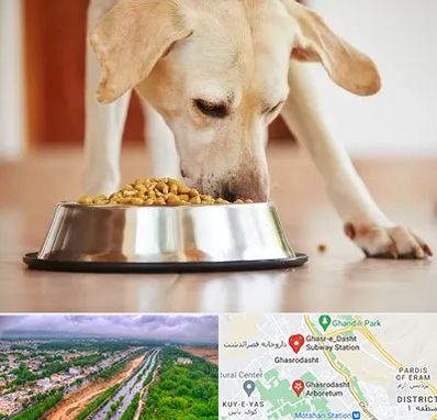 فروشگاه غذای سگ در قصرالدشت شیراز