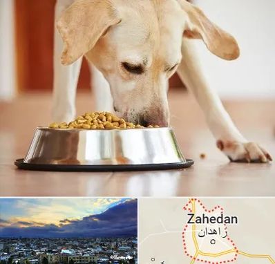 فروشگاه غذای سگ در زاهدان