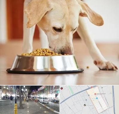 فروشگاه غذای سگ در باغ فیض اسلامشهر