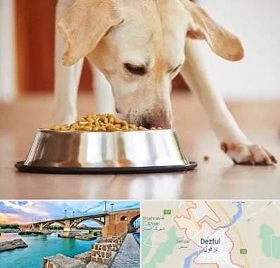 فروشگاه غذای سگ در دزفول