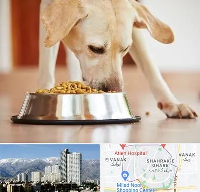 فروشگاه غذای سگ در شهرک غرب 