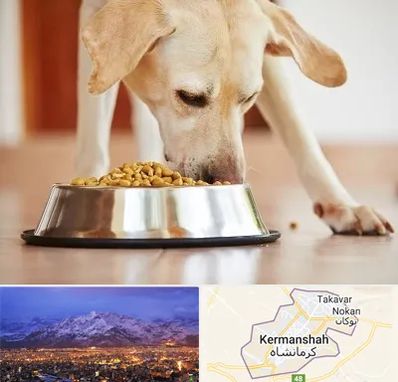 فروشگاه غذای سگ در کرمانشاه
